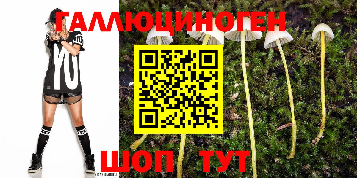 закладки  Вход с VPN  Псков  Галлюциногенные грибы прущие грибы 